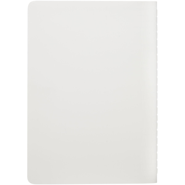 Shale cahier schrift van steenpapier - Wit